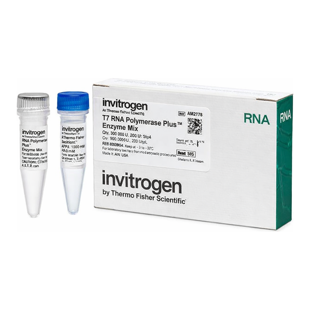 Thermo Fisher Scientific T7 RNA Polymerase-Plus Enzyme Mix (200 U/μL)