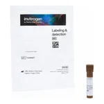 Thermo Fisher Scientific Sambucus Nigra (Elderberry Bark) Lectin (SNA, EBL), fluorescein (FITC)