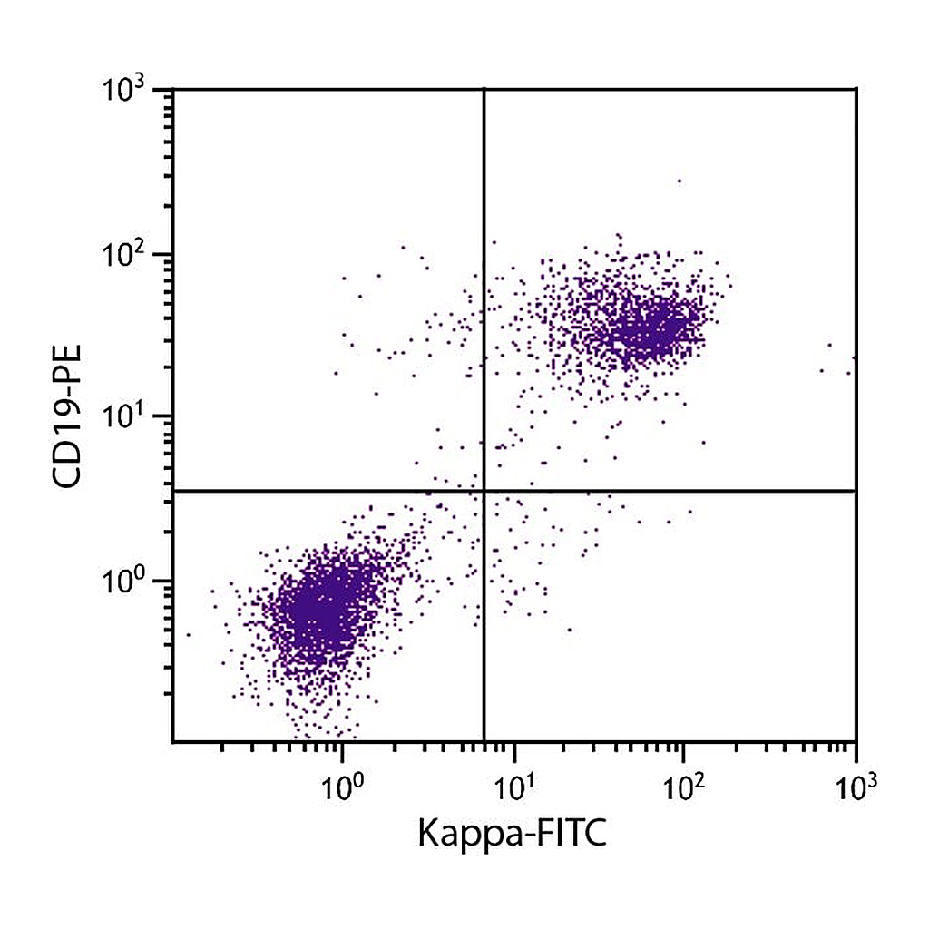 Thermo Fisher Scientific Rat anti-Mouse Kappa Light Chain Secondary Antibody, FITC
