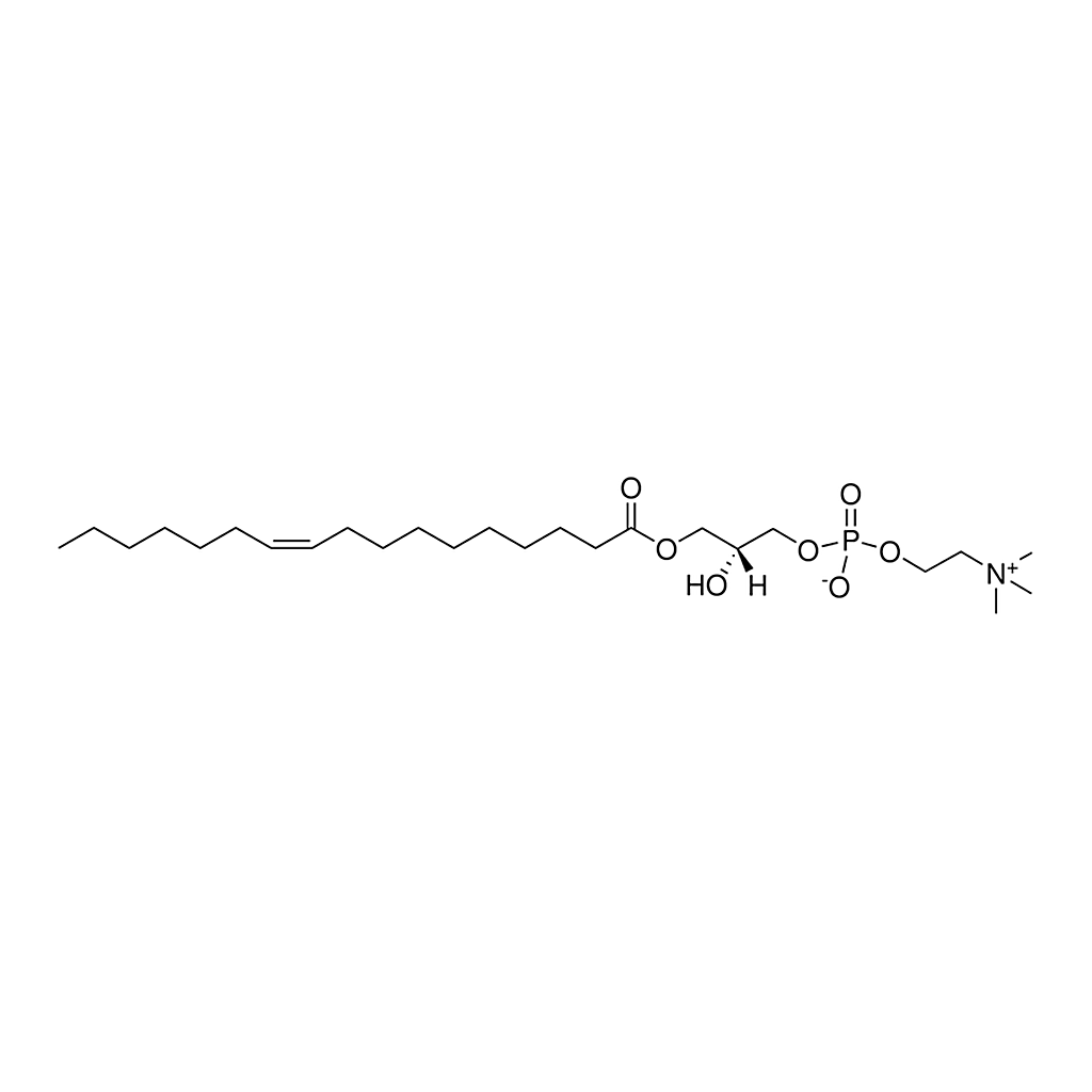 Merck 17:1 Lyso PC