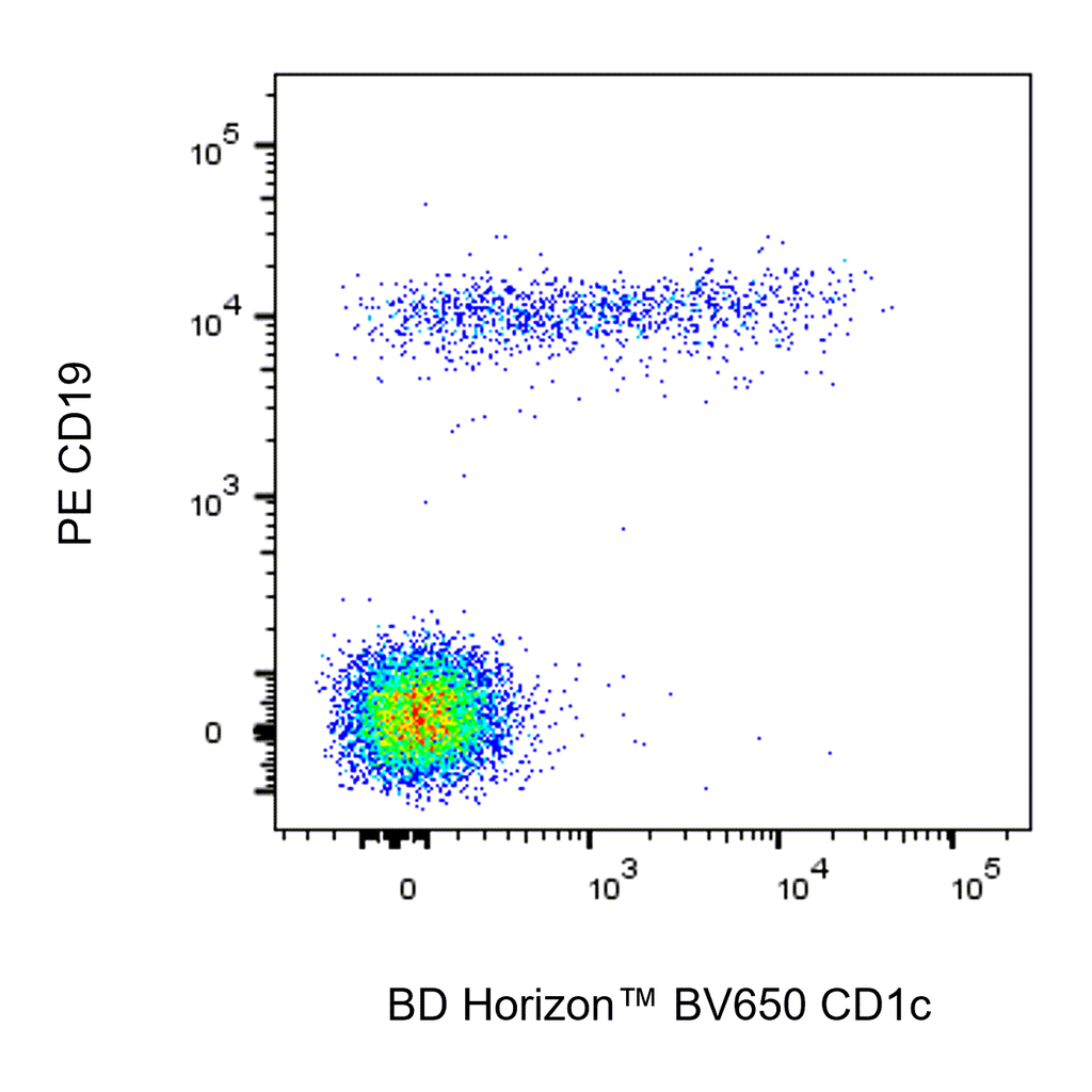 BD BV650 Mouse Anti-Human CD1c