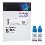 Thermo Fisher Scientific Cell Sorting Set-up Beads (for blue lasers)