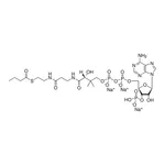 Merck 04:0 Coenzyme A