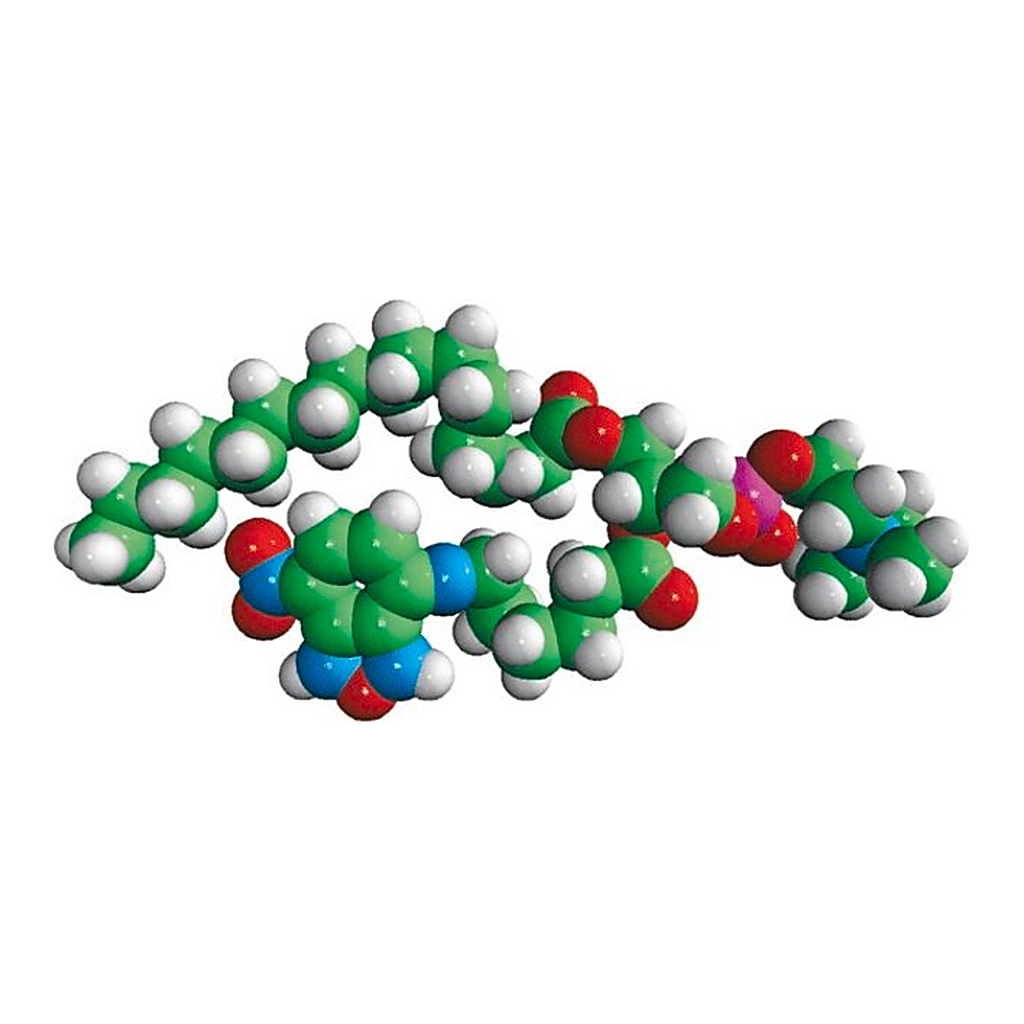 Merck 16:0-06:0 NBD PC