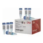 Thermo Fisher Scientific Zeocin Selection Reagent, 8 x 1.25 mL