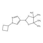 Merck 1-Cyclobutyl-1H-pyrazole-4-boronic acid pinacol ester