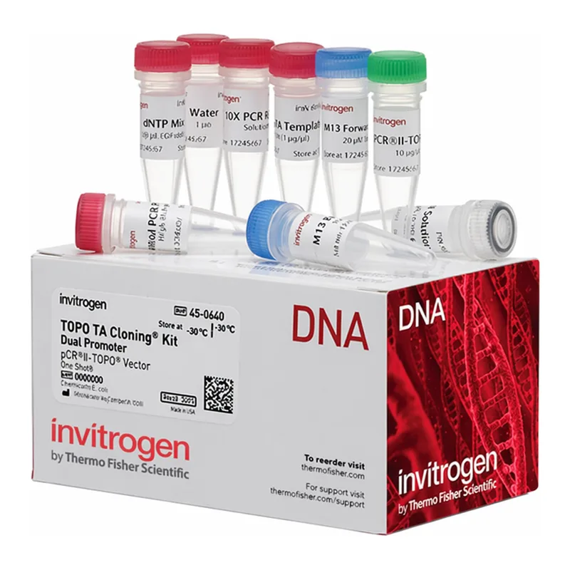 Thermo Fisher Scientific TOPO TA Cloning Kit, Dual Promoter, without competent cells, 25 Reactions