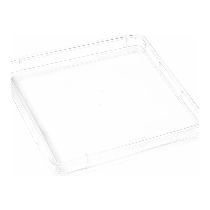 Corning® 245mm Square BioAssay Dishes