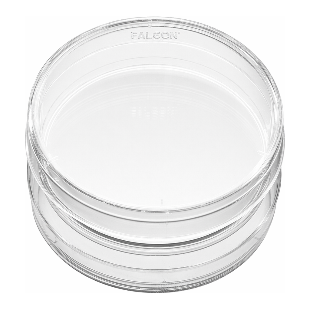 Corning® BioCoat™ Collagen IV-coated Culture Dishes