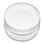 Corning® BioCoat™ Collagen IV-coated Culture Dishes