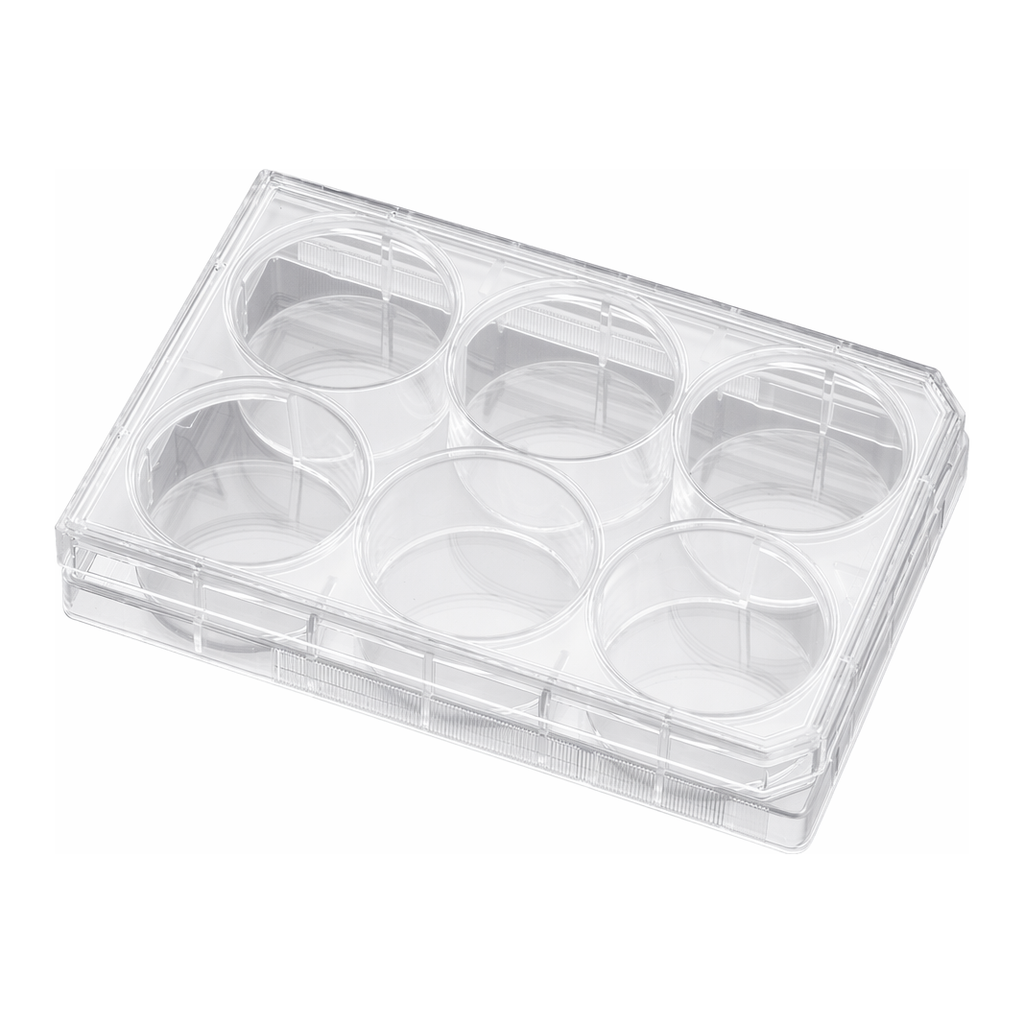 Corning® BioCoat™ Collagen IV-coated Plates