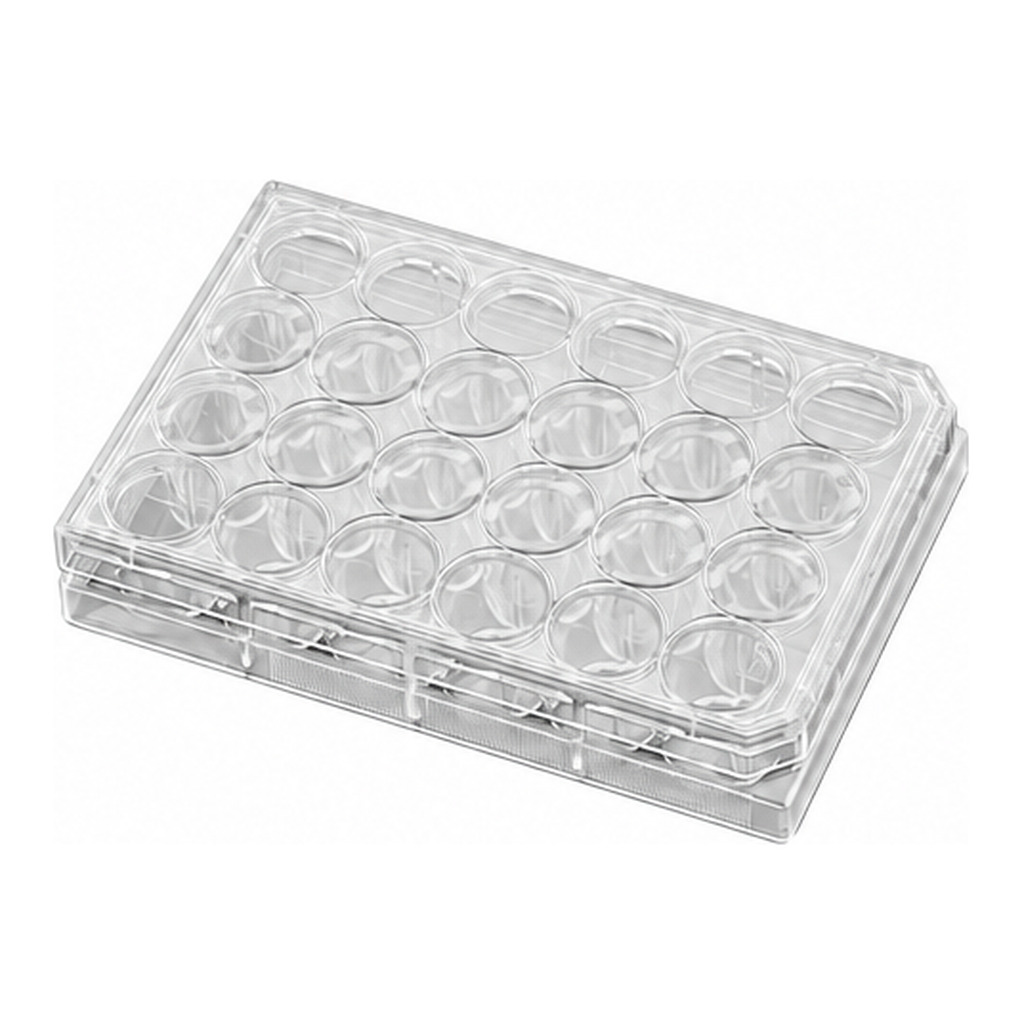 Corning® BioCoat™ Control Cell Culture Inserts, PET Membrane