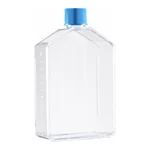 Corning® BioCoat™ Fibronectin-coated Flasks