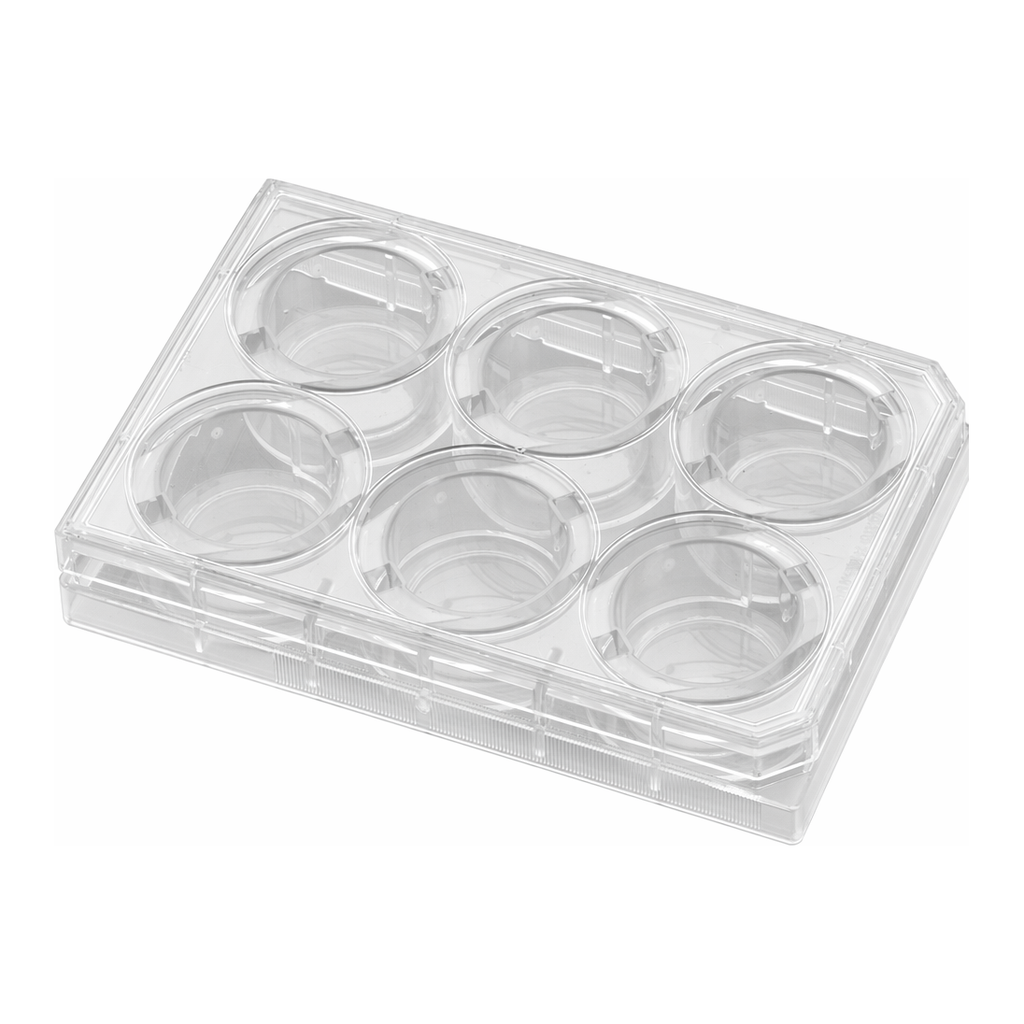 Corning® BioCoat™ Gelatin Plates