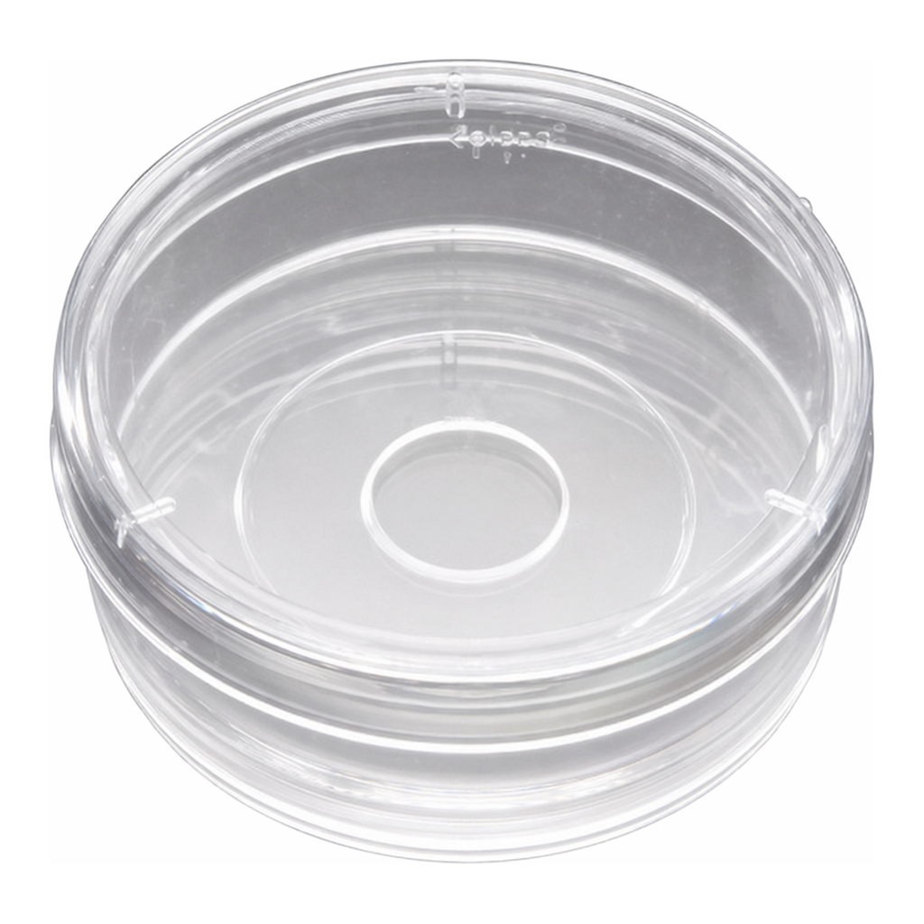 Corning® BioCoat™ Poly-D-Lysine Coverslips