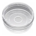 Corning® BioCoat™ Poly-D-Lysine Coverslips