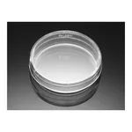 Corning® BioCoat™ Poly-D-Lysine Culture Dishes