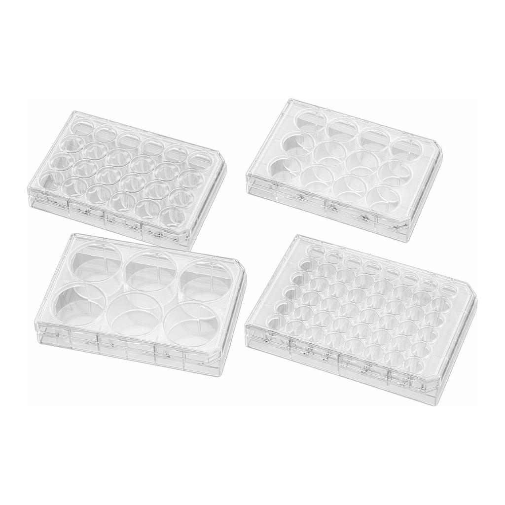 Corning® BioCoat™ Poly-D-Lysine Plates