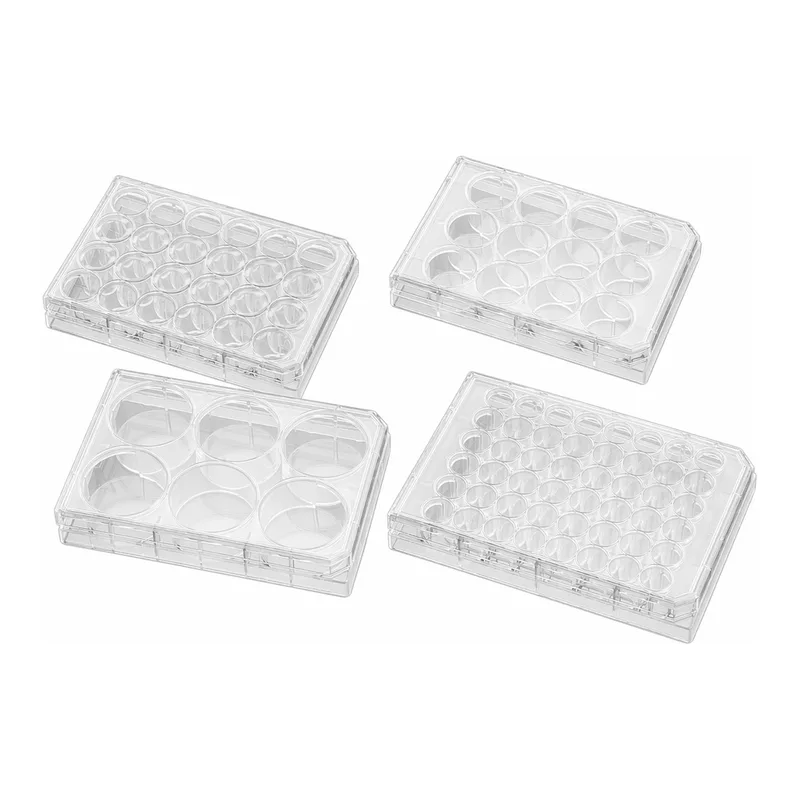 Corning® BioCoat™ Poly-D-Lysine Plates