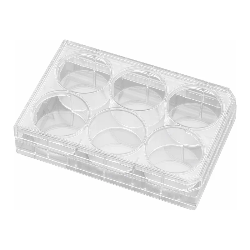 Corning® BioCoat™ Poly-D-Lysine/Laminin Plates