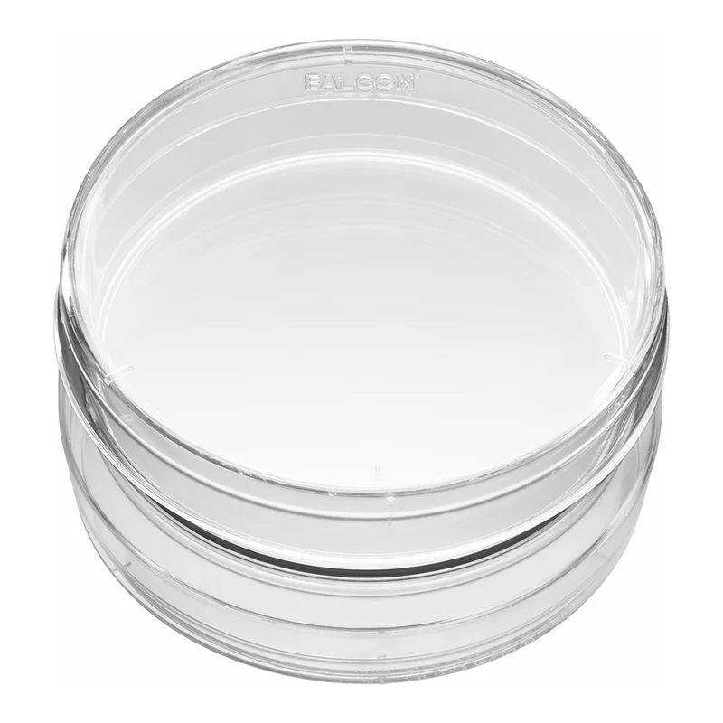 Corning® BioCoat™ Poly-L-Lysine-coated Culture Dishes