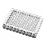 Corning® BioCoat™ Poly-L-Lysine-coated Microplates