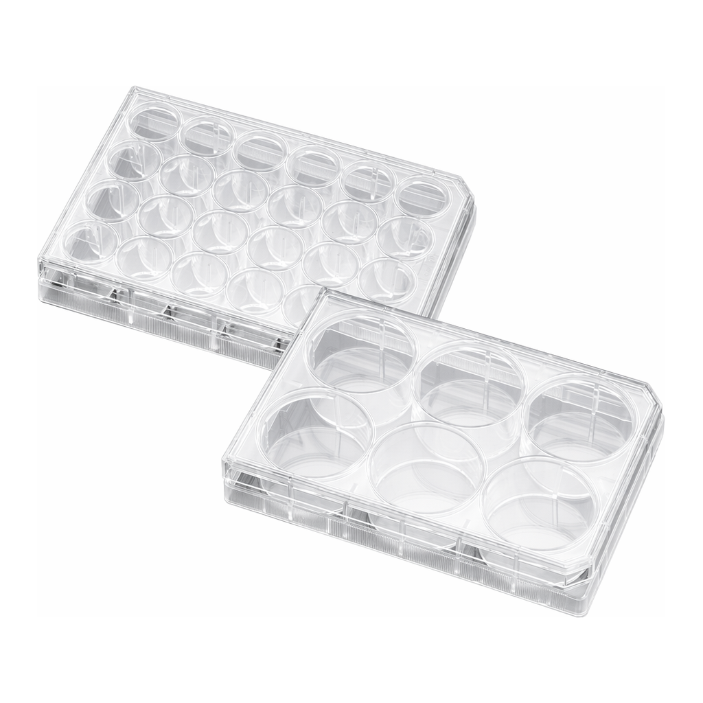 Corning® BioCoat™ Poly-L-Ornithine/Laminin Plates