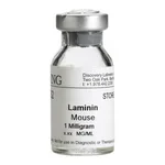 Corning® Laminin