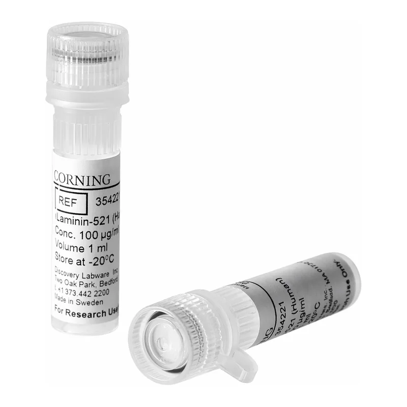 Corning® rLaminin-521 (Human)
