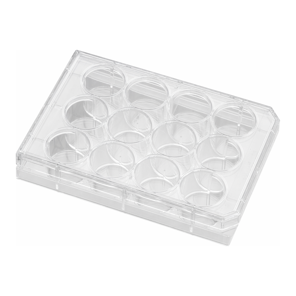 Falcon® Cell Culture Insert Companion Plates