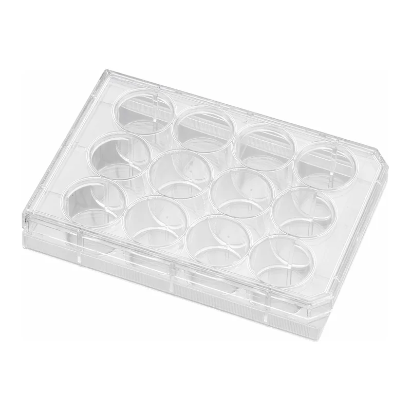 Falcon® Cell Culture Insert Companion Plates