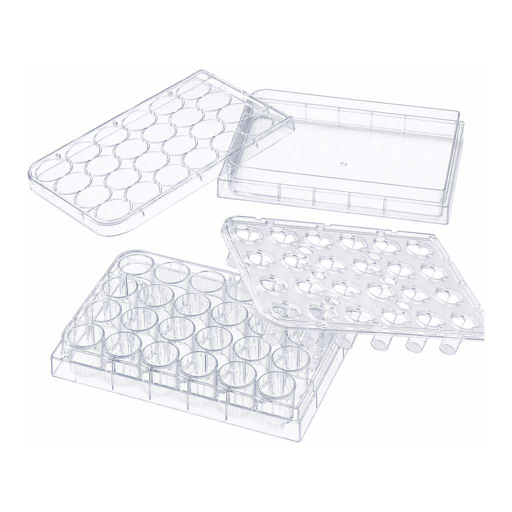 HTS Transwell® 24-well Permeable Support