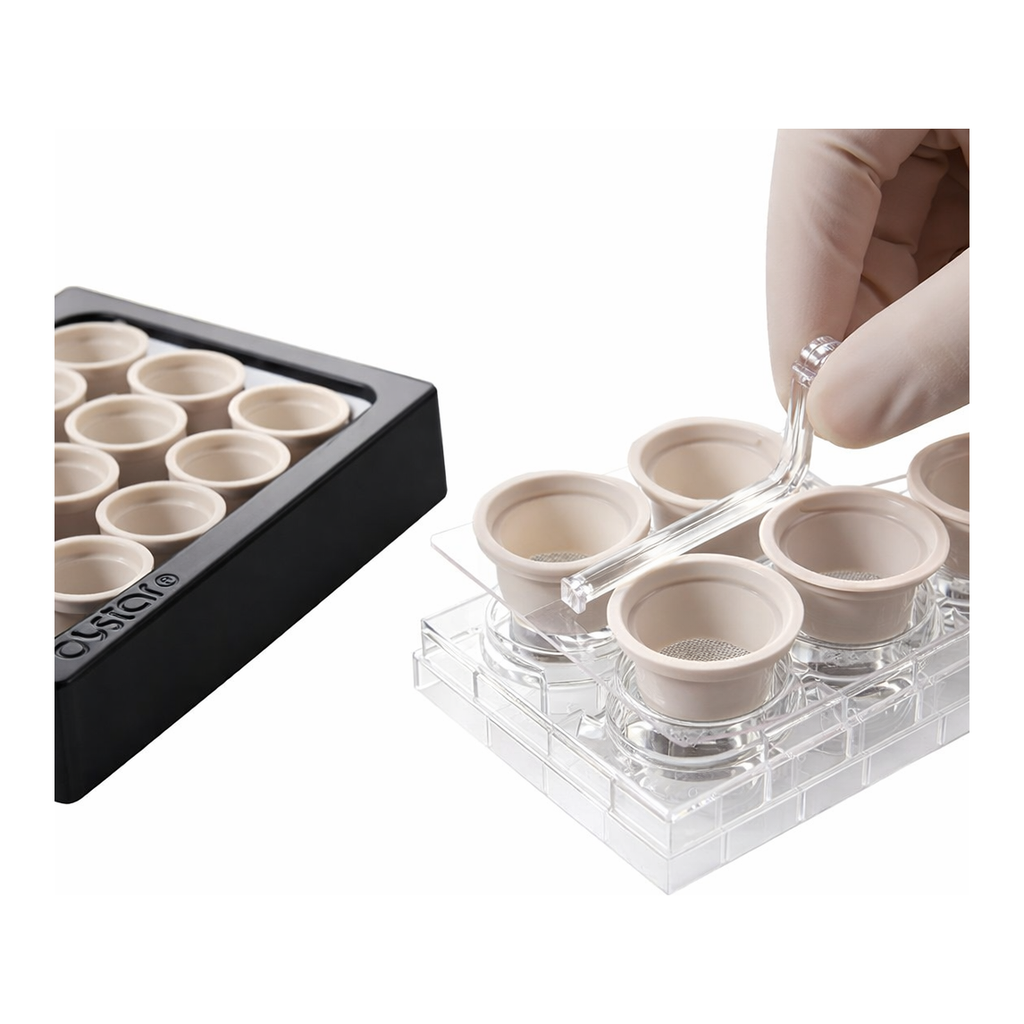 Netwell™ 12-well Carrier Kit for 15 mm Inserts, Nonsterile