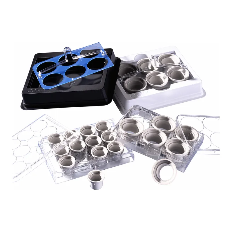 Netwell™ Inserts, Polyester Membrane