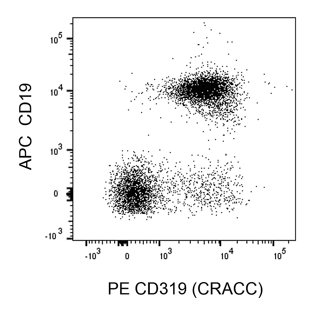 BD PE Rat Anti-Mouse CD319 (CRACC)