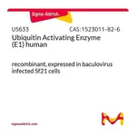 Merck Ubiquitin Activating Enzyme (E1) human