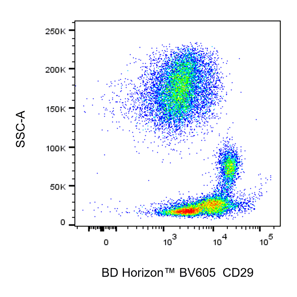 BD BV605 Mouse Anti-Human CD29