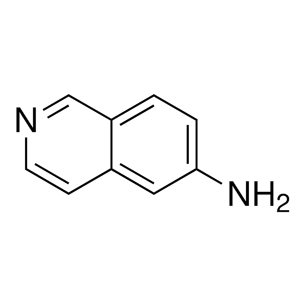 Merck 6-aminoisoquinoline