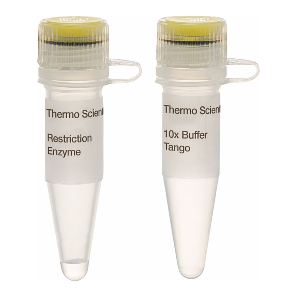 Thermo Fisher Scientific BspPI (AlwI) (2 U/&mu;L), 100 units