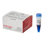 Thermo Fisher Scientific SeeBlue Pre-stained Protein Standard