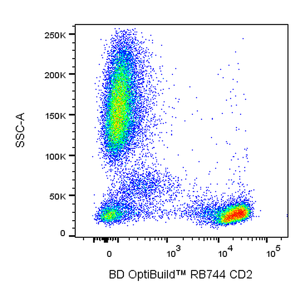 BD RB744 Mouse Anti-Human CD2