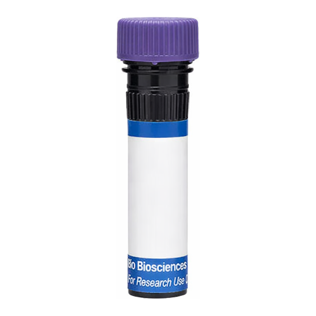 BD RB744 Mouse Anti-Human IgG