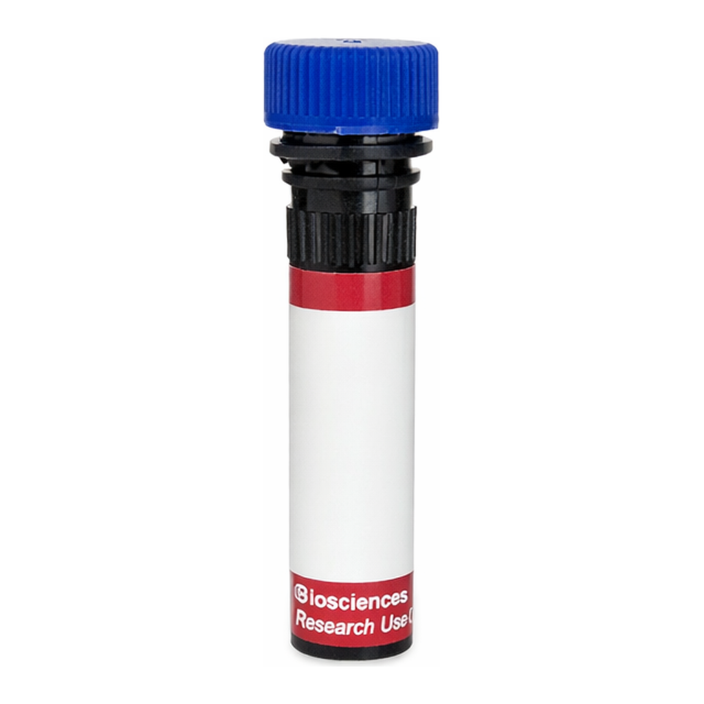 BD R718 Mouse Anti-Human Delta-Like Protein 4