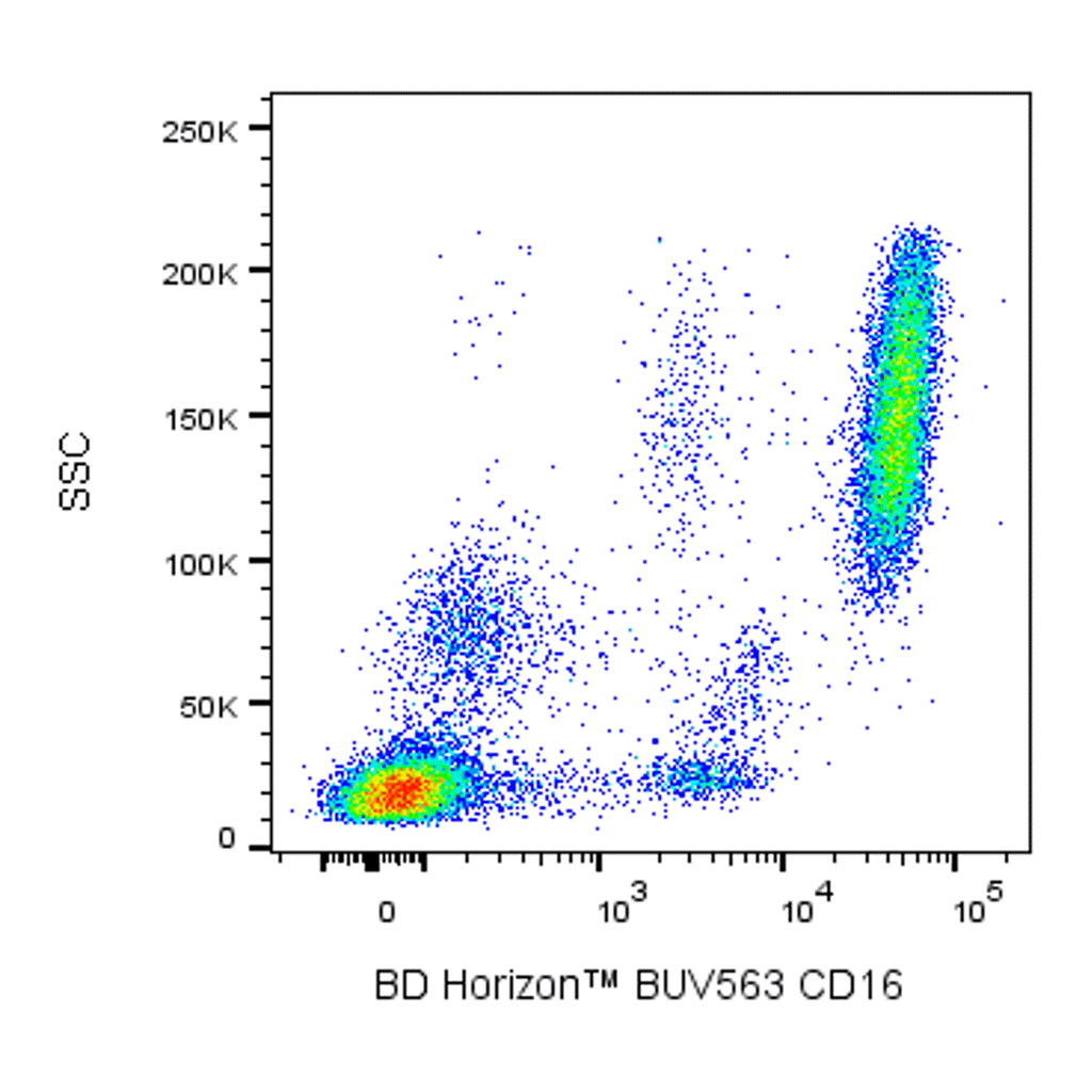 BD BUV563 Mouse Anti-Human CD16