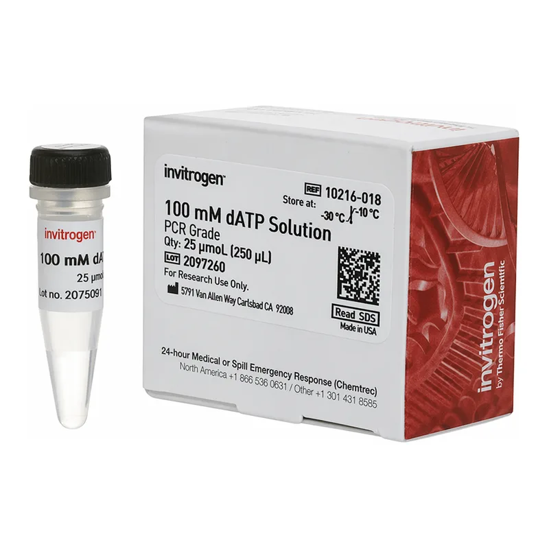 Thermo Fisher Scientific dATP (100 mM)