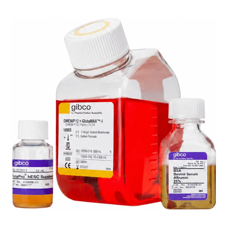 Thermo Fisher Scientific StemPro hESC SFM