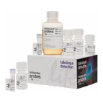 Thermo Fisher Scientific Click-iT EdU Alexa Fluor 488 Flow Cytometry Assay Kit, 100 assays