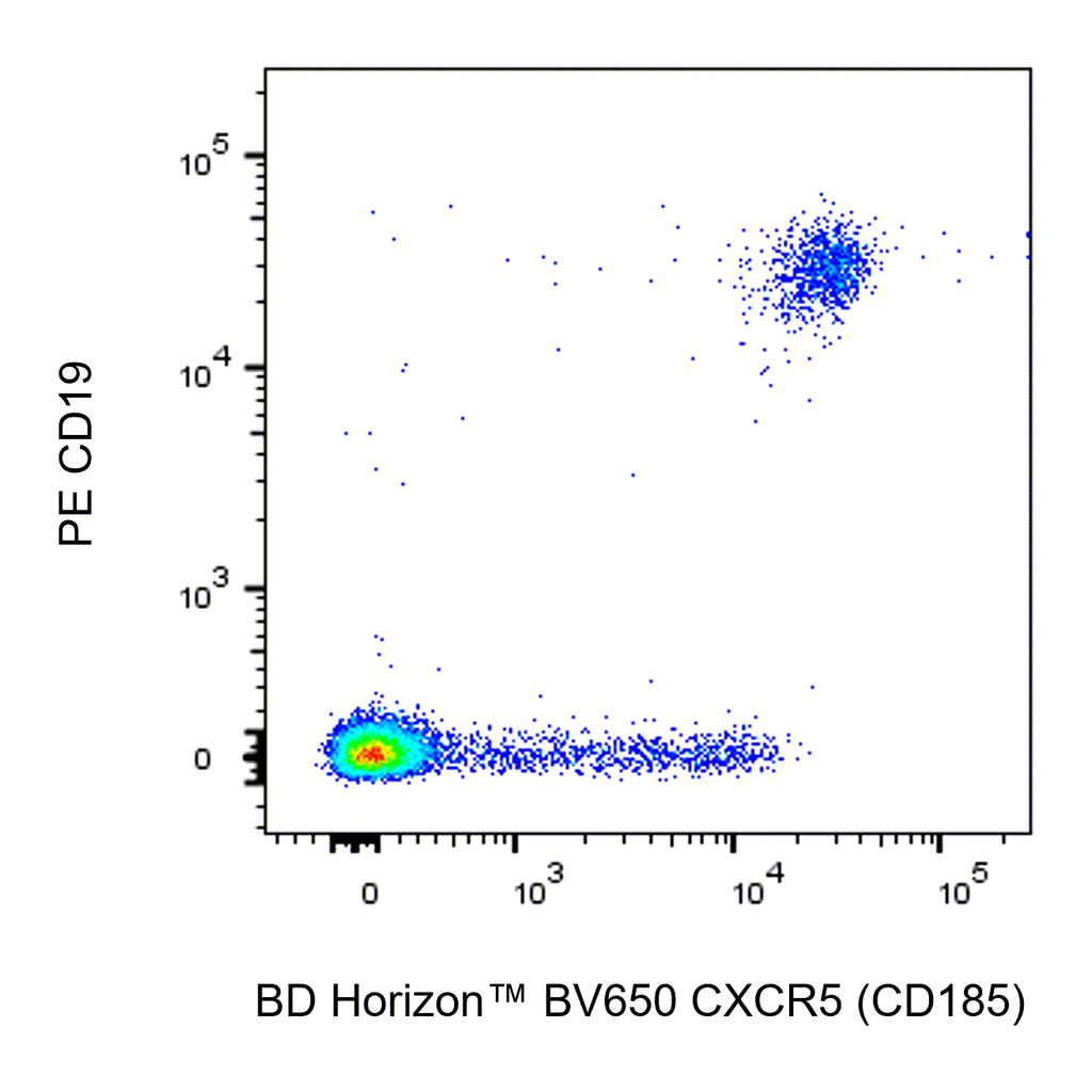 BD BV650 Rat Anti-Human CXCR5 (CD185)