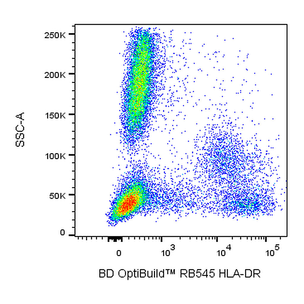 BD RB545 Mouse Anti-Human HLA-DR