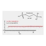 Merck PK100 HYBRIDSPE-PHOSPHOLIPID ULTRA 30MG